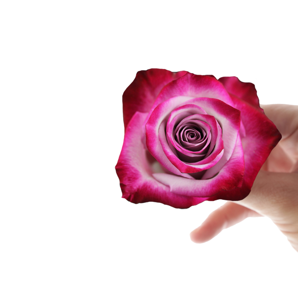Deep Purple Agrinag